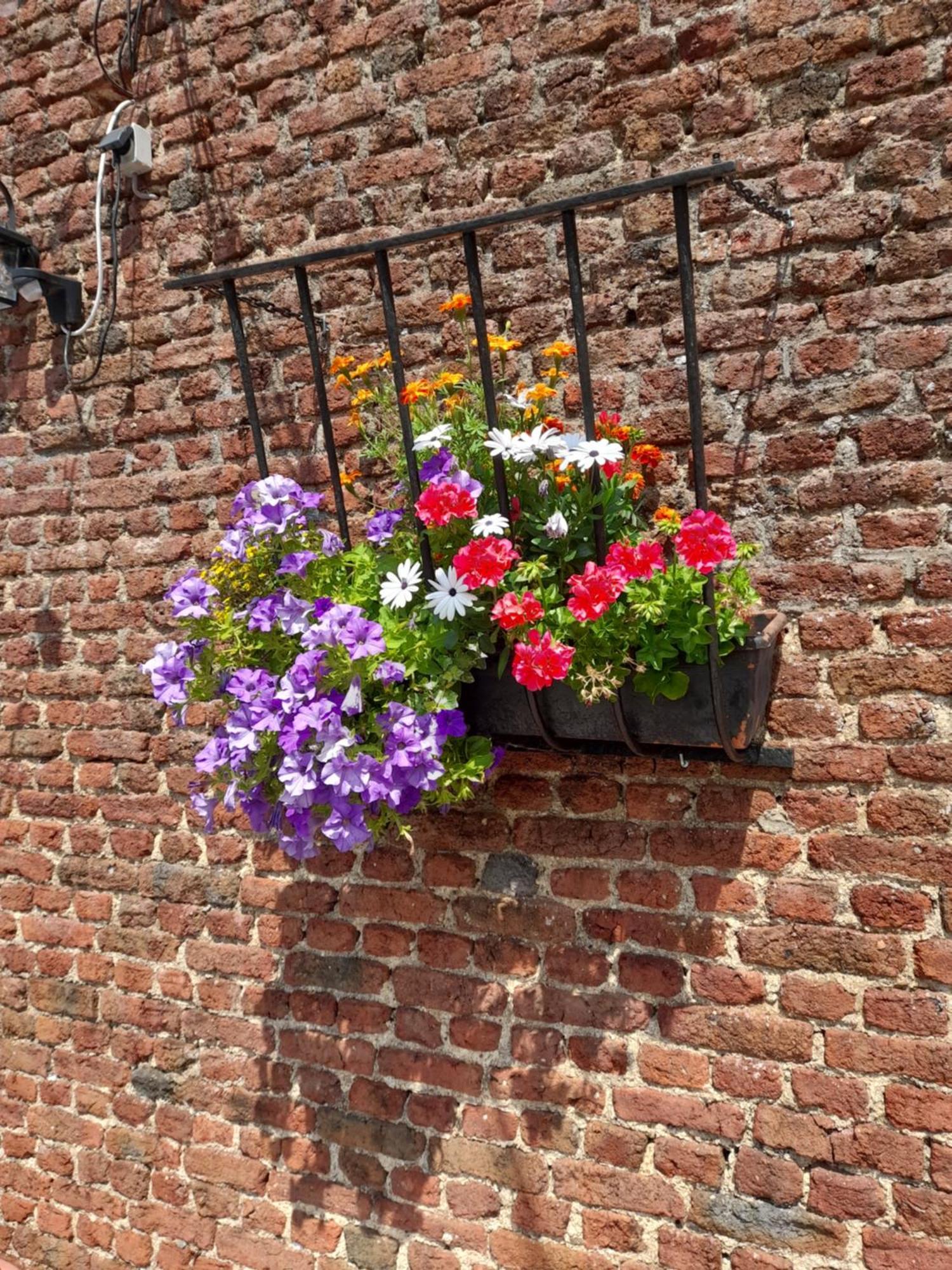 Les Chambres De La Fromagerie D'Ambly Nassogne Exterior foto